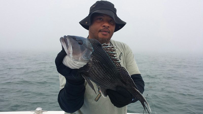 Bass River Fishing Charters